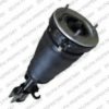 DELPHI DG10002A Shock Absorber